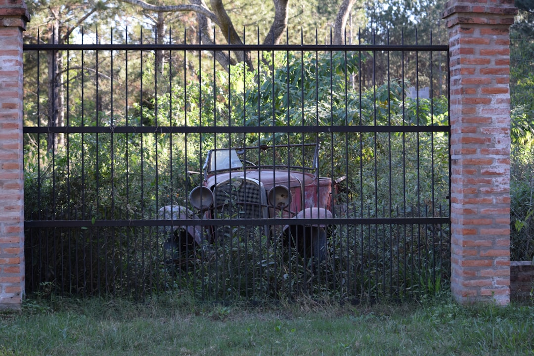Automatic gate operator and safety photo-eye in Pearland, TX
